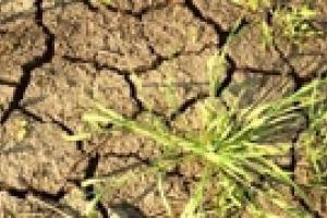 Сильнейшая засуха в Китае оставила без воды 200 тыс. человек