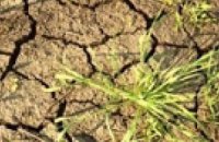 Сильнейшая засуха в Китае оставила без воды 200 тыс. человек
