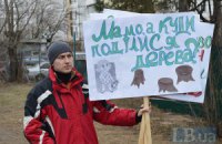 Місце під соснами