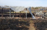 В Киевской области сгорел приют для собак