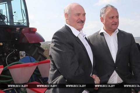 Лукашенко и Додон на тракторах посадили кукурузу в поле под Кишиневом