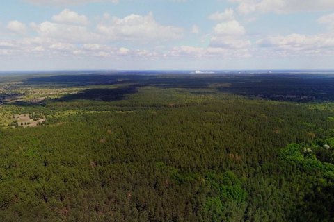В Чернобыльской зоне тестируют оборудование для раннего обнаружения пожаров