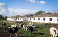 Росіяни прицільно атакували ферму на Сумщині: частина худоби загинула