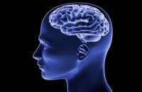 Диета заставляет пожирать собственный мозг, установили американские ученые
