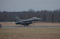 В Эстонию прибыли 12 американских истребителей