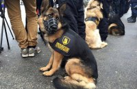 Нацполіція дезінфікує лапи службовим собакам через коронавірус