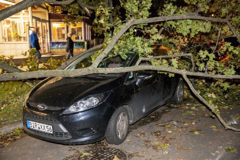 В Германии ураган "Ксавьер" унес жизни шести человек