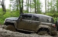 Незаконний джипінг на заповідних територіях: шкода довкіллю становить близько 1,4 млн грн