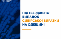 В Одеській області підтверджено випадок сибірської виразки 