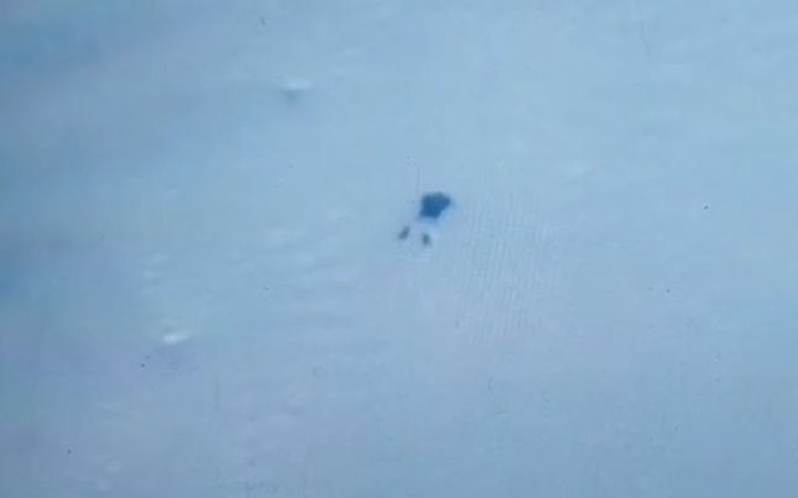 Прикордонники виявили чергового потопельника в Тисі