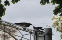 У вівторок у Києві до +21, удень без опадів