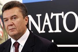 Янукович: отношения с НАТО - комфортные
