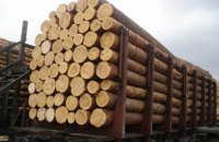 Рада приняла в первом чтении законопроект в поддержку моратория на экспорт леса