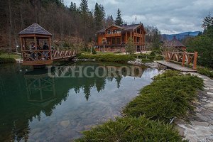 "Правый сектор" обвинили в краже картин и икон с дачи Медведчука