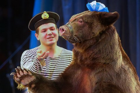 Минкультуры рассчитывает на законодательный запрет использования животных в цирке