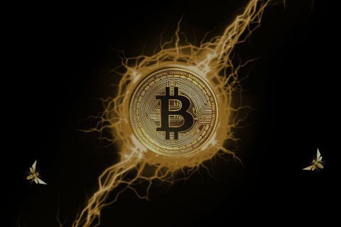 Крупнейшим публичным инвестором в биткоин оказалась американская IT-компания MicroStrategy