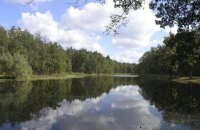 Лісова реформа: перші результати