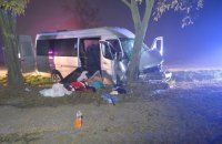 В Венгрии автобус с украинцами врезался в дерево, 10 пострадавших