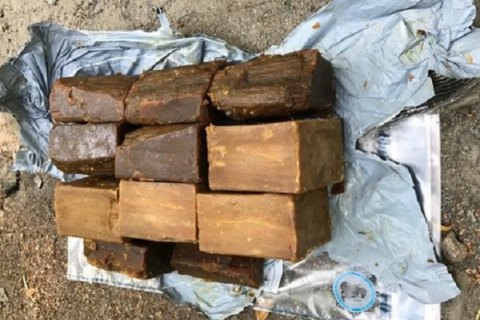 В киевском Гидропарке обнаружили тайник с патронами и тротиловыми шашками