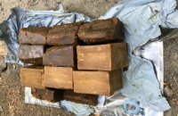 В киевском Гидропарке обнаружили тайник с патронами и тротиловыми шашками
