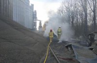 Российская крылатая ракета попала в элеватор Житомирской области