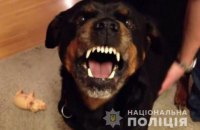 В Боярке ротвейлер загрыз человека, его хозяйке предъявили подозрение в убийстве