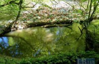 Госэкоинспекция внепланово проверит крупнейших загрязнителей водных ресурсов