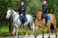 В Киеве появится конная полиция