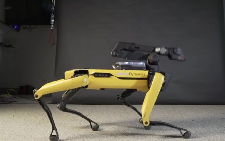 Розміновувати Україну допоможе собака-робот від Boston Dynamics, - Foreign Policy