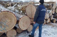 У Житомирській області знайшли склад "чорних" лісорубів з 2 тис. колод дуба