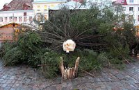 Таллинскую полицию попросили разобраться с падением елки