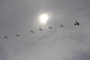 30 французских самолетов обстреляли позиции исламистов в Мали