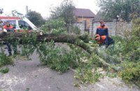 Почти 300 населенных пунктов обесточены из-за непогоды в Волынской и Ровенской областях