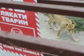 Зооконцлагерь образцового содержания