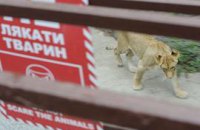 Зооконцлагерь образцового содержания