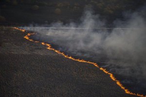 ГосЧС остановила пожар в Чернобыльской зоне (обновлено)