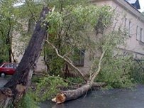 ​Непогода обесточила населенные пункты в пяти областях