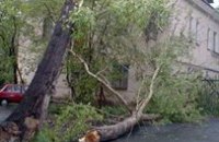​Непогода обесточила населенные пункты в пяти областях