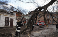 Спасатели предупредили о сильных порывах ветра на выходных 