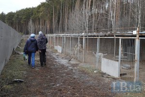 "Притулок для тварин" у Бородянці припинив існування
