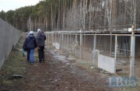 "Приют для животных" в Бородянке прекратил существование