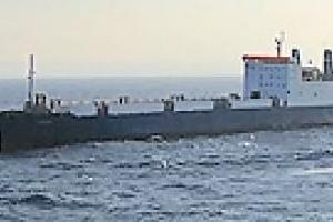 У берегов Стамбула потерпел крушение сухогруз Kramco