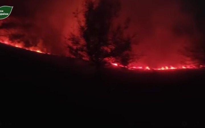 На Сумщині через постійні російські обстріли за добу згоріло 50 га лісу