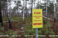 В Беларуси пограничники задержали троих украинцев, собиравших ягоды
