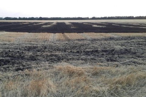 В Днепропетровской области сгорело поле пшеницы