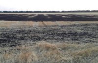 В Днепропетровской области сгорело поле пшеницы