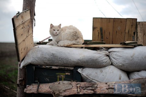 С начала суток потерь среди ВСУ на Донбассе нет