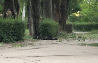 Сьогодні російські військові знову обстріляли Енергодар, - Енергоатом 