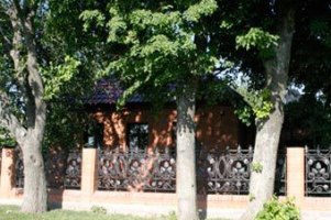 У дома Ющенко его однопартиец добивается зарплаты голодовкой