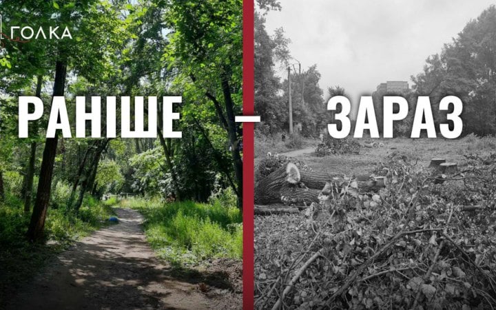 Вирубка лісосмуги на Теремках: небезпечний урядовий експеримент і хибний вибір між дубами і теплом 